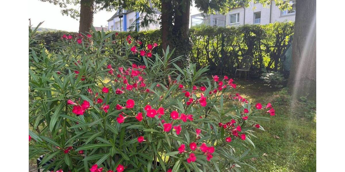 Grundstück Hagen Eilpe - 133.000&euro; | Angebot:25836136