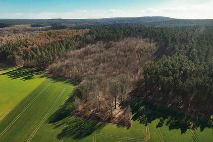 Grundstück Gardelegen Zichtau - 98.000&euro; | Angebot:26246289