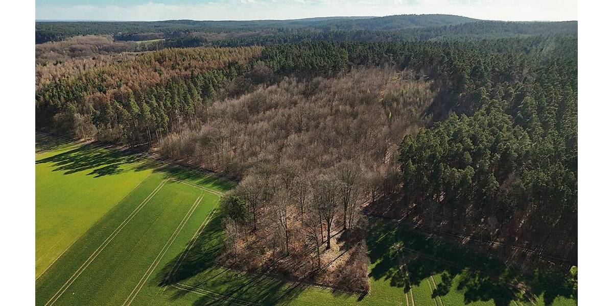 Grundstück Gardelegen Zichtau - 98.000&euro; | Angebot:26246289