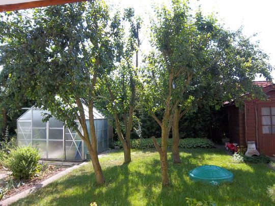 Provisionsfrei* 3 Generationen ZFH: 5 ZiWo + 4 ZiWo, 3 Ebenen, Grund 802 m² in 89173 Lonsee zu verkaufen. - Zweifamilienhaus Lonsee | Angebot:26781319