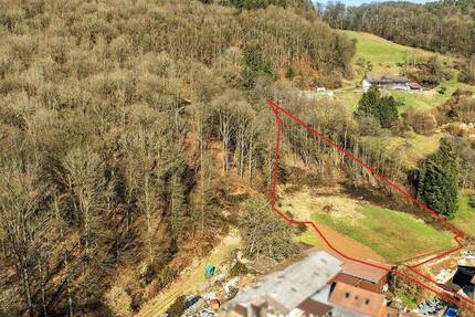 Baugrundstück mit Wiesenfläche und Waldanteil zimmer