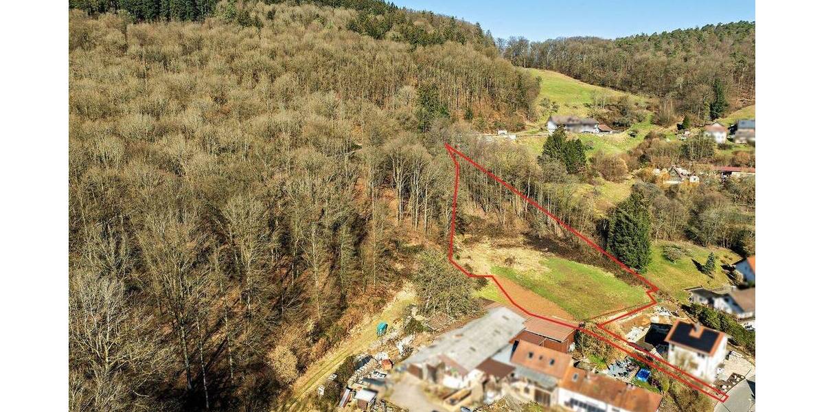 Baugrundstück mit Wiesenfläche und Waldanteil zimmer
