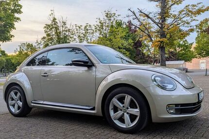 VW Beetle