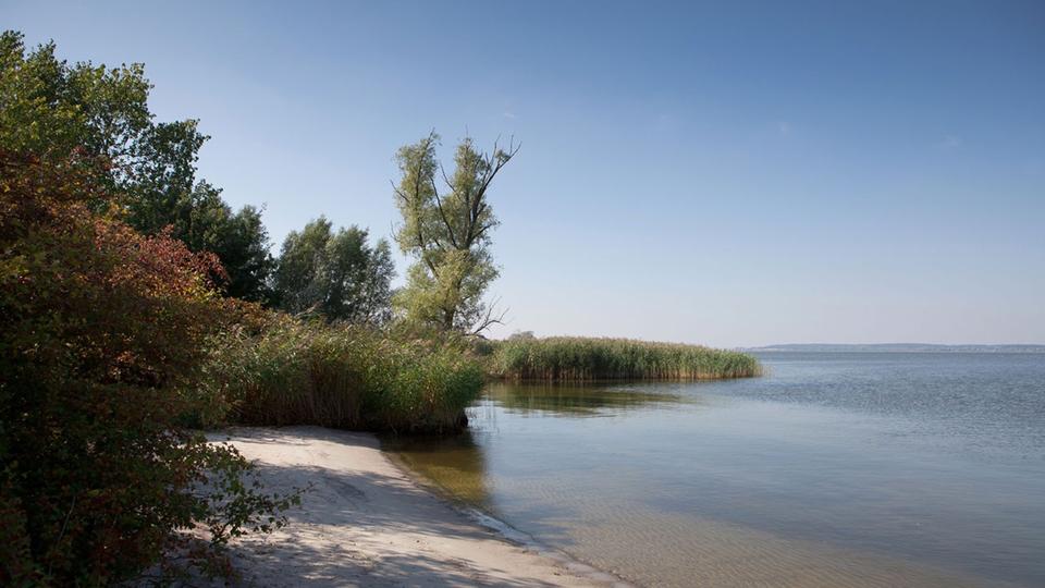 3-Zimmerwohnung auf Usedom - Lieper Winkel 3 zimmer