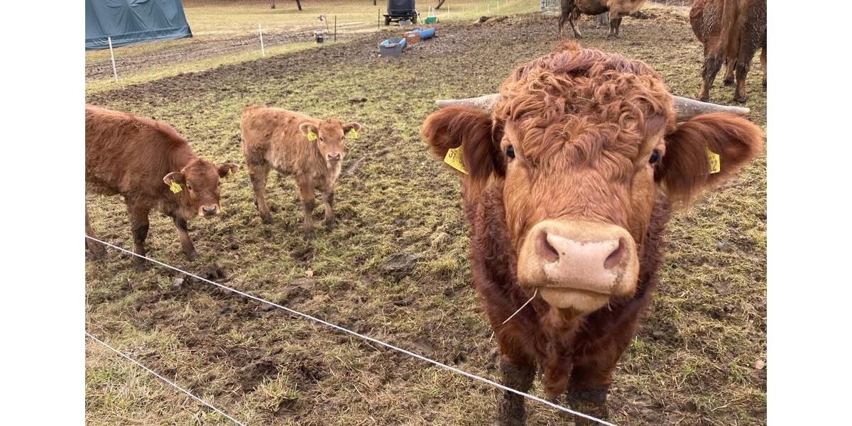 Grundstück Kirchheim unter Teck - 25.000&euro; | Angebot:24998432