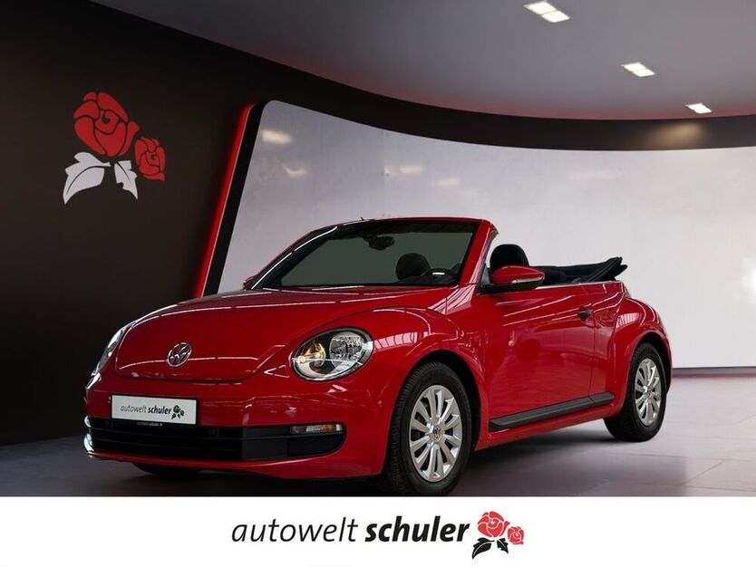Beetle