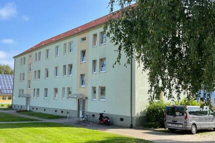 Wohnung zur Miete 3 zimmer