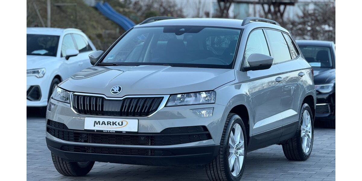Skoda Karoq 149.990 km 19.690 &euro; Wolfhagen 34466