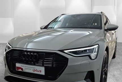 Audi Q8 e-tron 51.242 km 54.430 &euro; Speyer 67346
