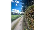 Bungalow Dresden Loschwitz - 3 Zimmer, 60 m&sup2;, 190.000&euro; | Angebot:26374540