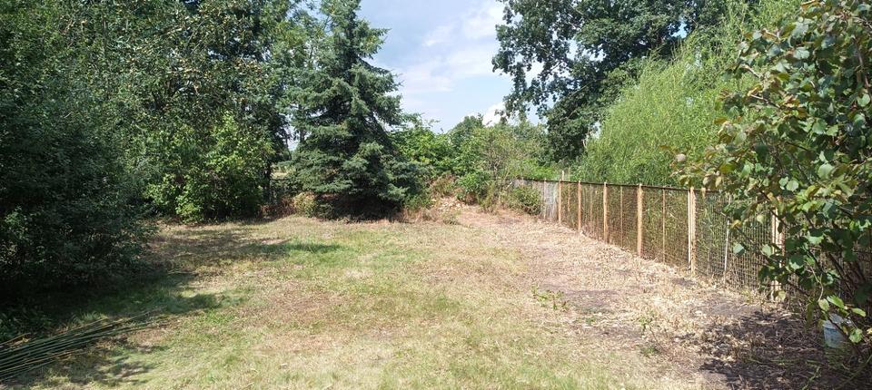 Niedrigenergie- Familienwohnung mit außergewöhnlichem Grundriss 4 zimmer