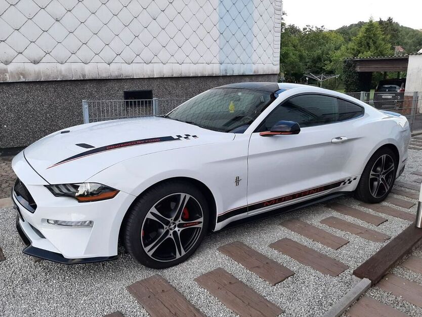 Mustang