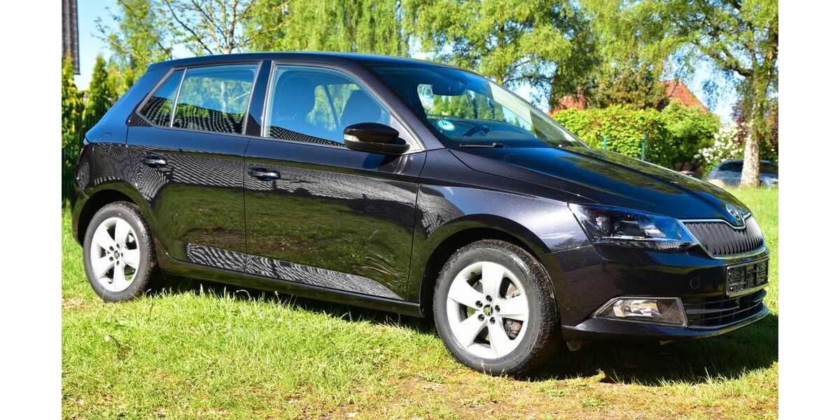 Skoda Fabia 66.456 km 9.990 &euro; Schwarmstedt 29690