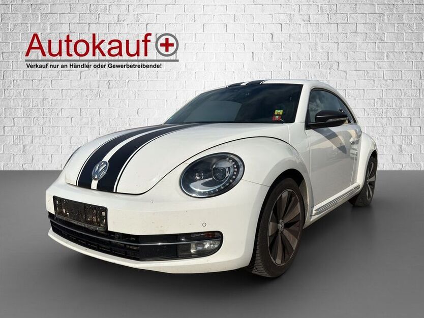 Beetle