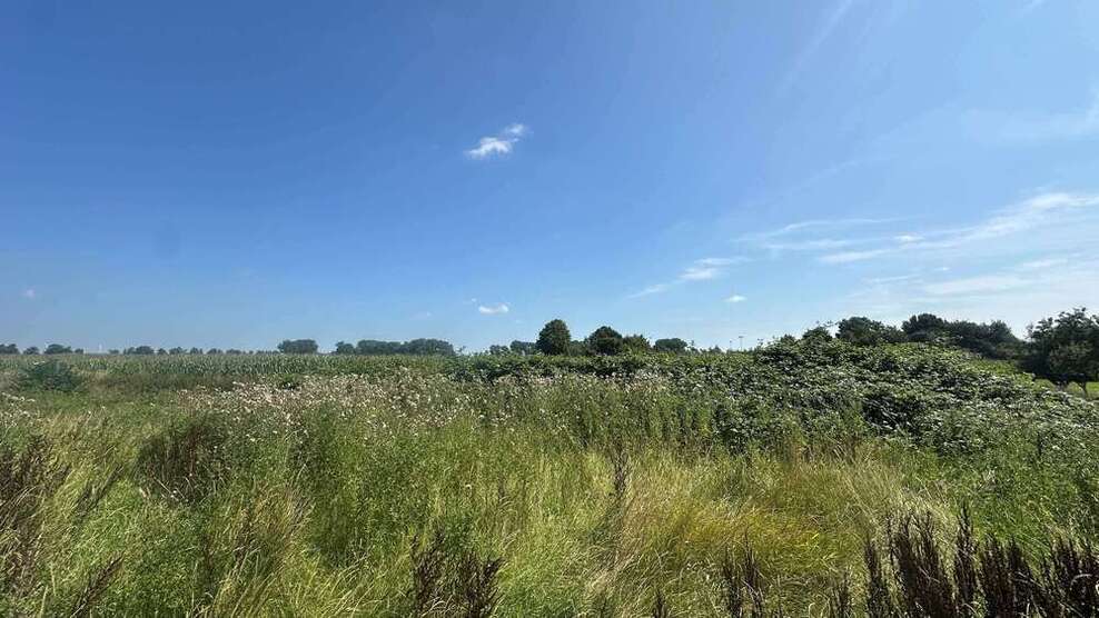 Grundstück zu verkaufen in Seestermühe 206.960 € 796 m²