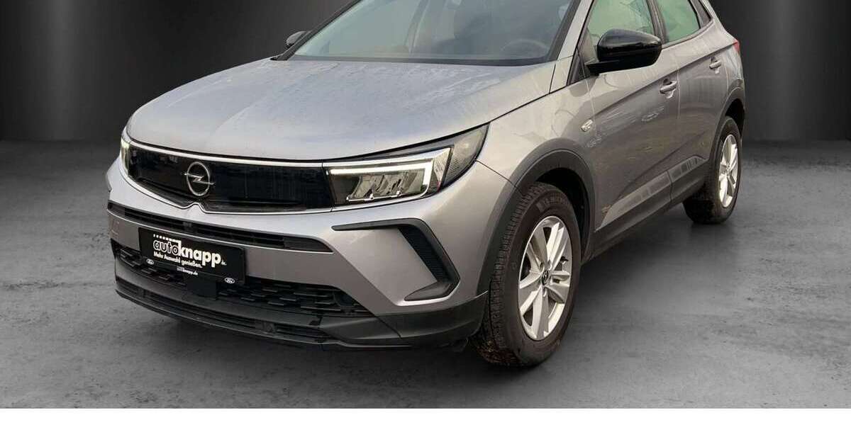 Opel Grandland X 29.999 km 18.880 &euro; Frankenthal 67227