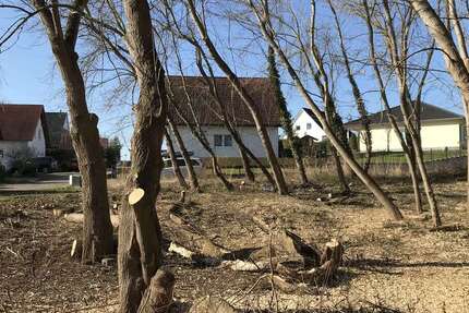 Grundstück zu verkaufen in Hohenmölsen 49.000 € 722.33 m² zimmer