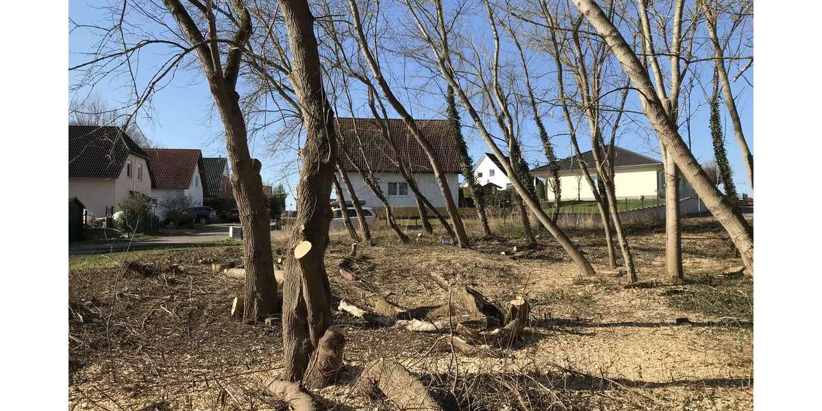 Grundstück zu verkaufen in Hohenmölsen 49.000 € 722.33 m² zimmer