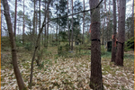 Bauland in Randlage - HURRA HIER bauen wir * Haus incl. Architekt, Bodenarbeiten, Fundamentplatte