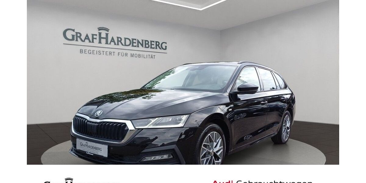 Skoda Octavia 90.500 km 25.888 &euro; Lahr 77933