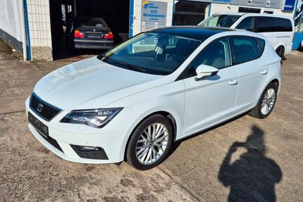 Seat Leon 174.989 km 8.995 &euro; Hillerse 38543