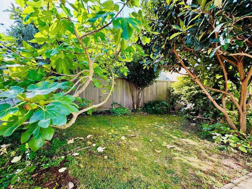 Charmantes Einfamilienhaus, 92 qm WFL mit toller Aufteilung + Garten in begehrter Lage in Bonn-Beuel