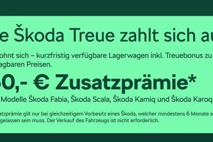Skoda Kamiq 4.500 km 23.980 &euro; Frankfurt 60435
