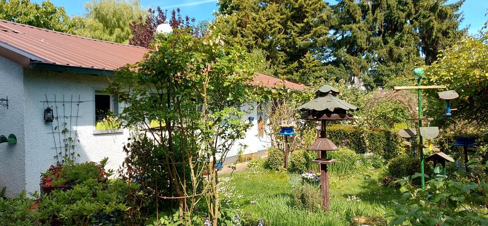 Einfamilienhaus Alsbach-Hähnlein Hähnlein - 6 Zimmer, 140 m&sup2;, 1.850&euro; | Angebot:26615667