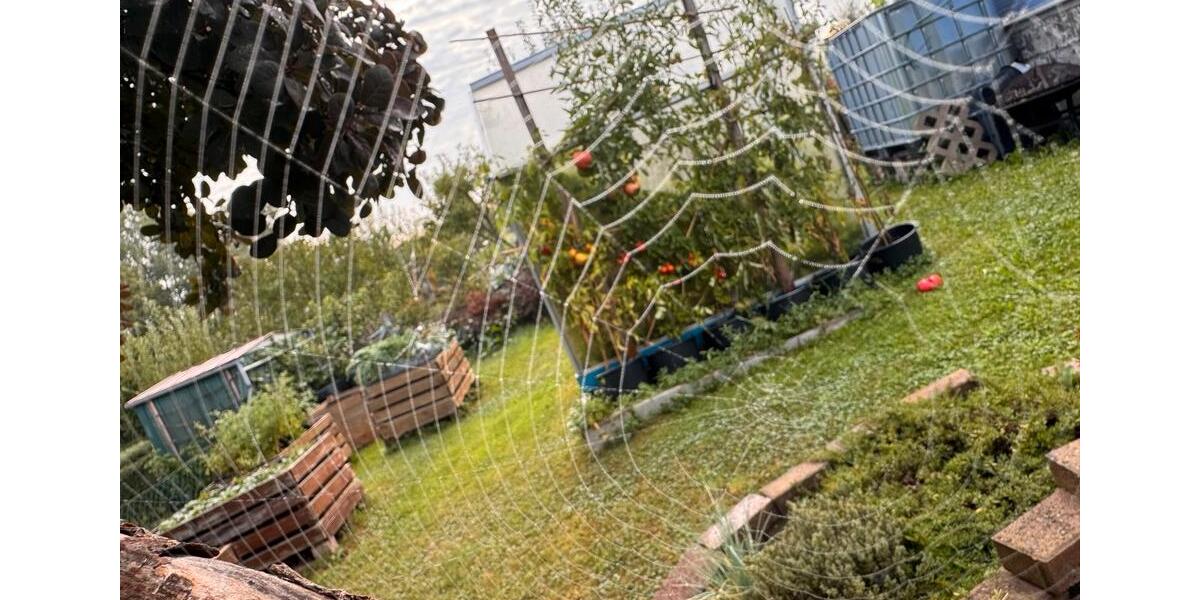 Grundstück Saalfeld (Saale) - 5.500&euro; | Angebot:26517298
