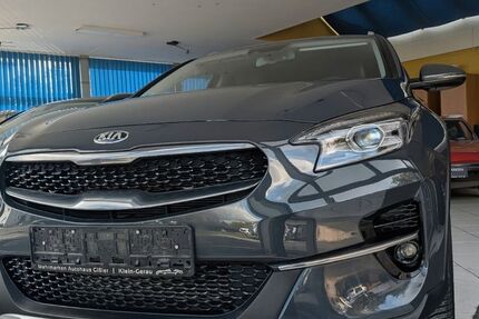 Kia XCeed 26.554 km 22.890 &euro; Büttelborn 64572