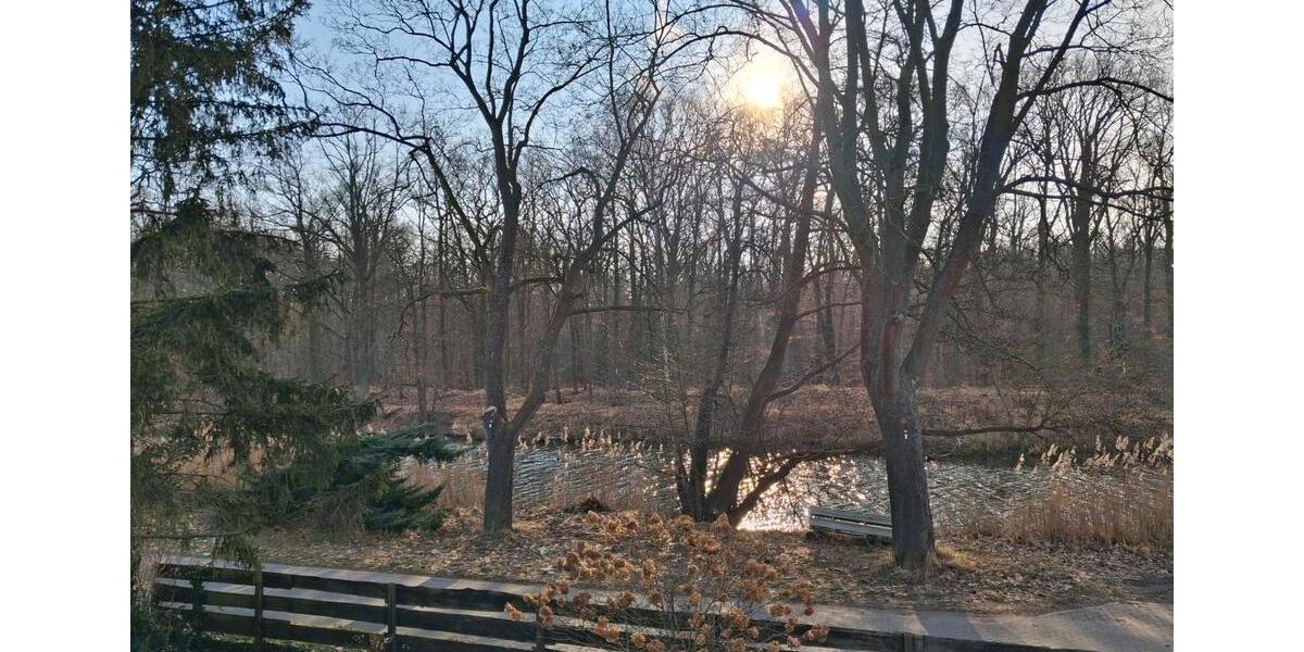 Einfamilienhaus Wusterwitz - 3 Zimmer, 100 m&sup2;, 399.000&euro; | Angebot:26022793