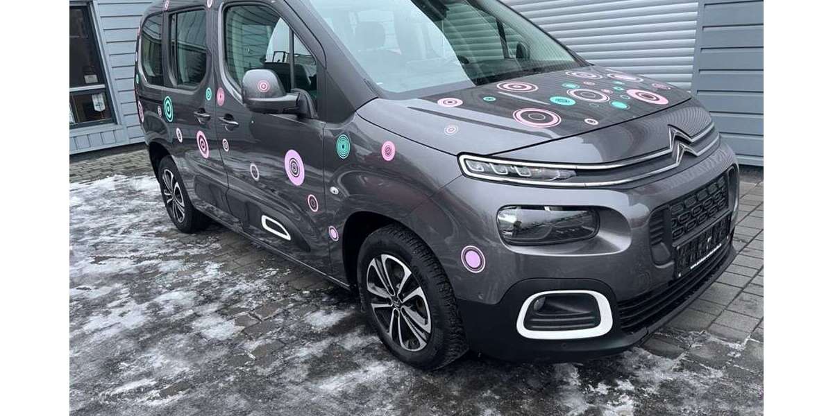 Citroen Berlingo 177.440 km 9.290 &euro; Berlin 13051