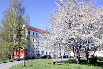 1 Raum Wohnung Geratal Gräfenroda