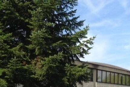 Gewerbeobjekt Eggenstein - 1.155&euro; | Angebot:25747603