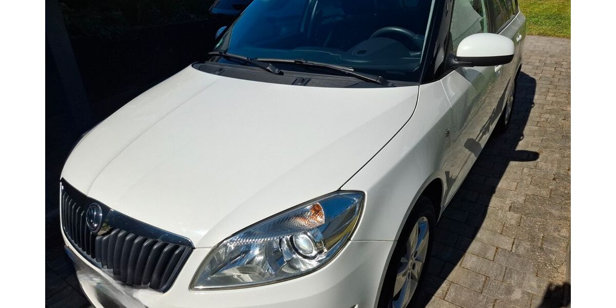Skoda Fabia 155.000 km 4.800 &euro; Erbach 64711