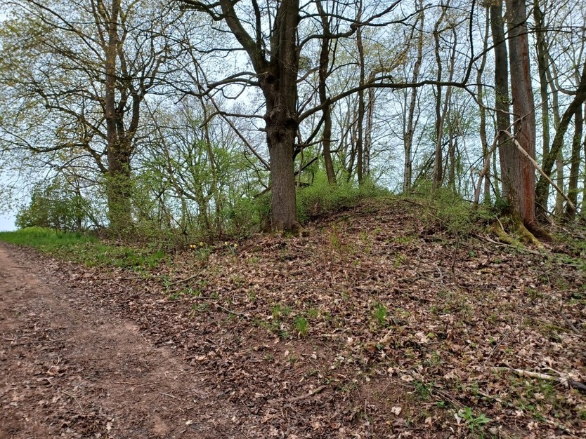 Gebotsverfahren: Waldgrundstück mit ehemaligem Trinkwasserbehälter in Rhumspringe (Landkreis Göttingen) zu verkaufen zimmer