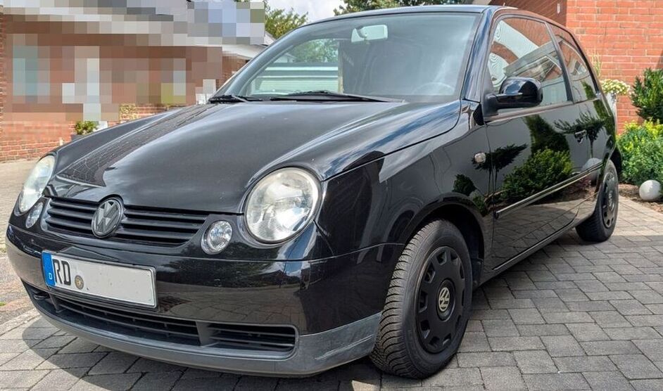 Lupo