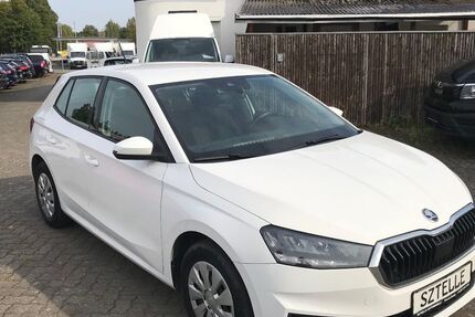 Skoda Fabia 224.889 km 9.999 &euro; Braunschweig 38110