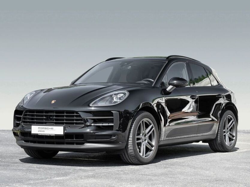 Macan