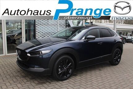 Mazda CX-30 8.855 km 27.985 &euro; Hilter 49176