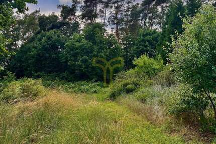 Grundstück Langlingen / Hohnebostel Hohnebostel - 94.200&euro; | Angebot:21650438