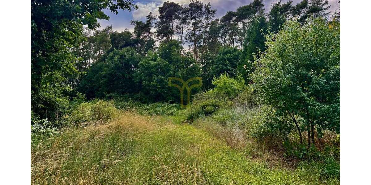 Grundstück Langlingen / Hohnebostel Hohnebostel - 94.200&euro; | Angebot:21650438