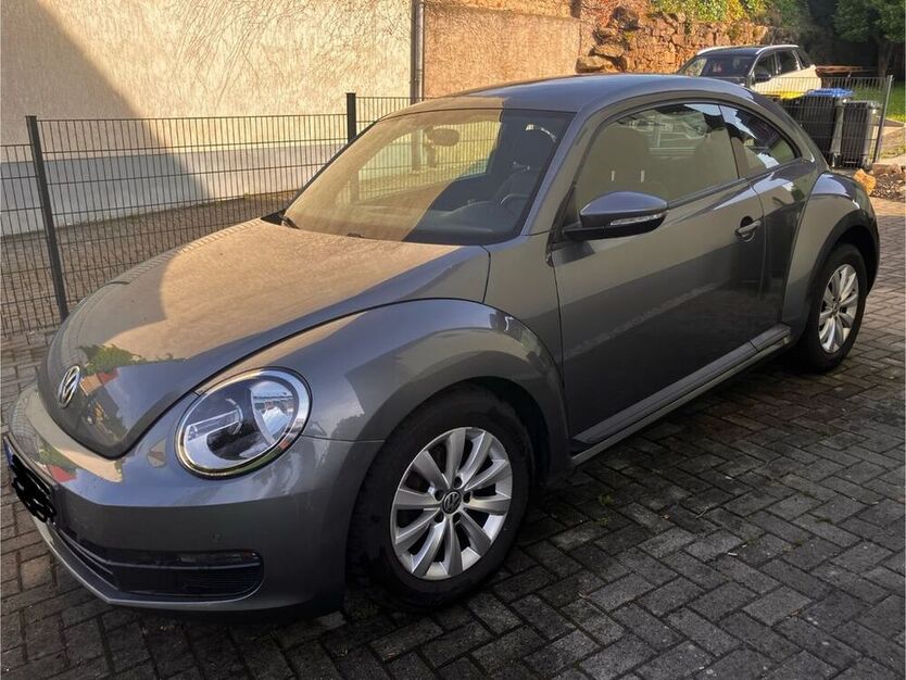 Beetle