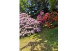 Einfamilienhaus Hage - 6 Zimmer, 160 m&sup2;, 198.000&euro; | Angebot:26797575