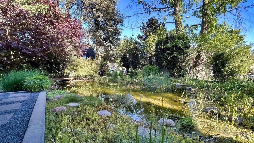 Doppelhaushälfte Lübeck Buntekuh - 4 Zimmer, 124 m&sup2;, 595.000&euro; | Angebot:25198075