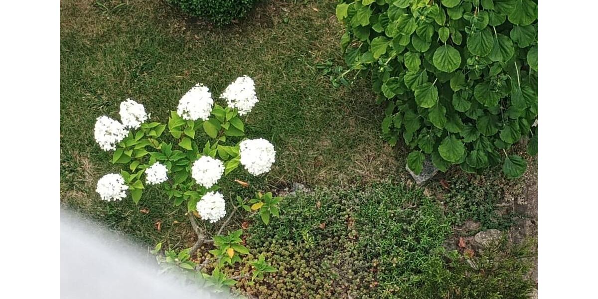 Einfamilienhaus Nörten-Hardenberg Hardenberg - 4 Zimmer, 100 m&sup2;, 1.210&euro; | Angebot:22929041