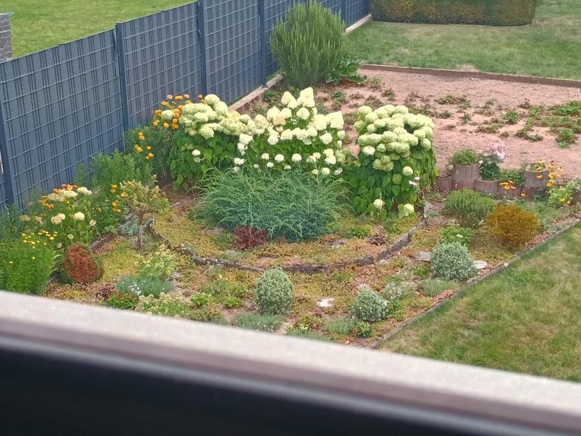 Ruhige, Charmantes Einfamilienhaus zu vermieten in Nörten zimmer