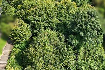 Grundstück Leimen - 990.000&euro; | Angebot:22010984