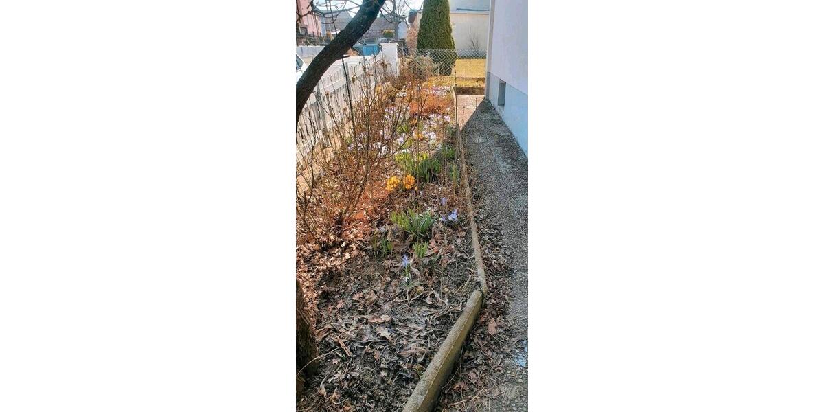 Etagenwohnung Hof Neuhof - 3 Zimmer, 75 m&sup2;, 610&euro; | Angebot:26340105