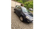 Punto Evo